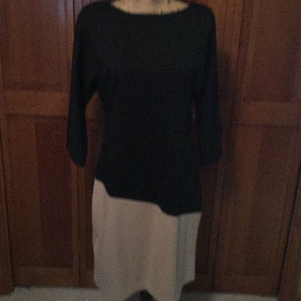 Dana Buchman Black/camel dress